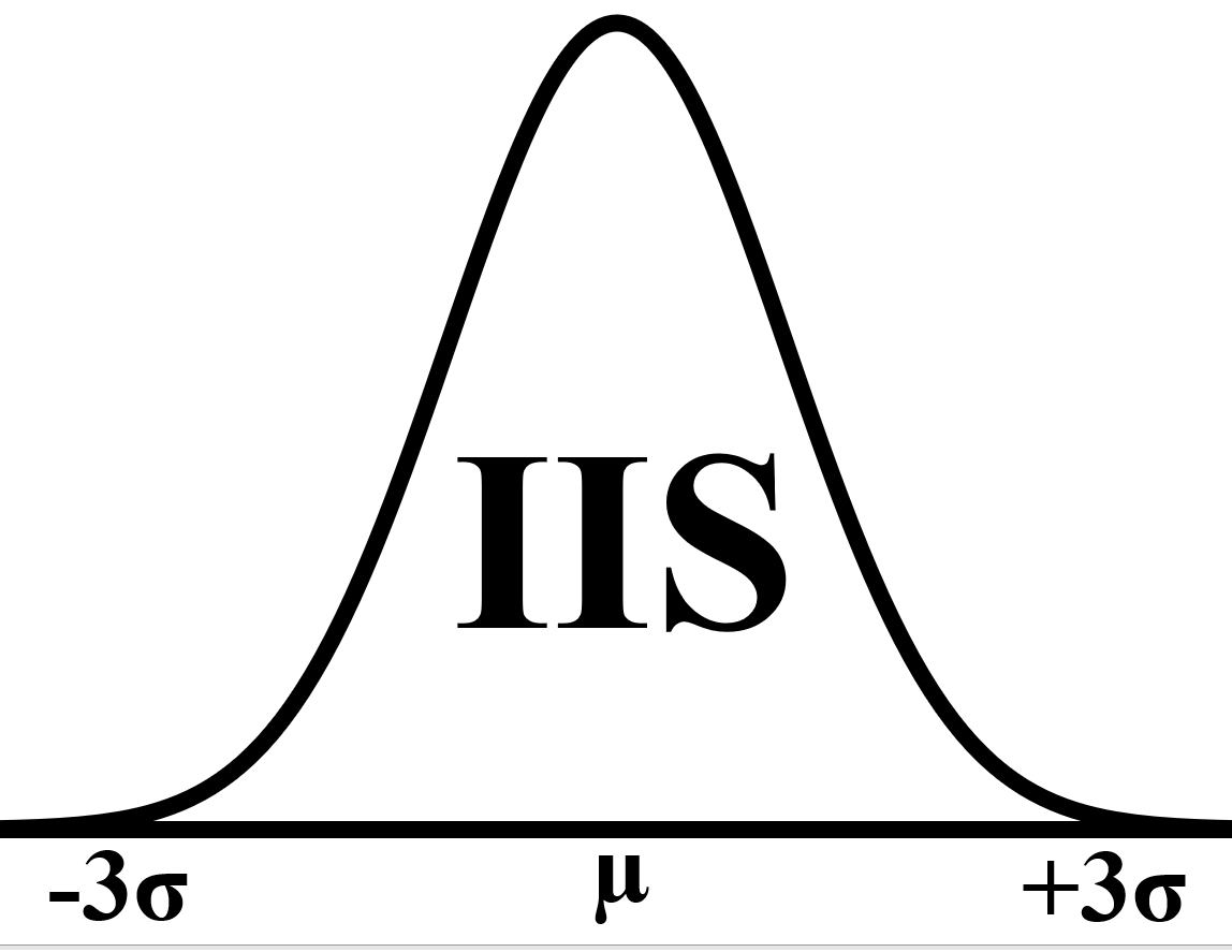 Integrated Inspection Systems, Inc.